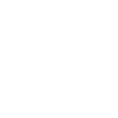 سيتي فريش كيتشن